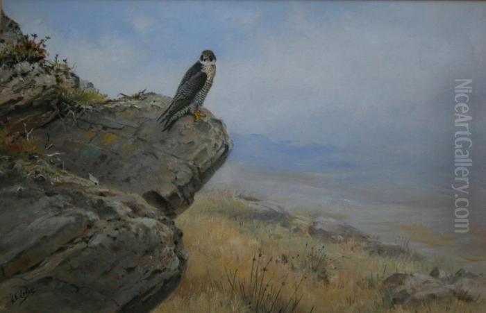 Peregrine Falcon Oil Painting by George Edward Lodge