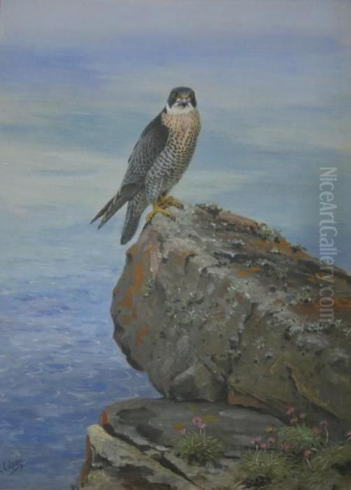 Peregrine Falcon Oil Painting by George Edward Lodge