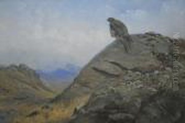 Peregrine Falcon Oil Painting by George Edward Lodge