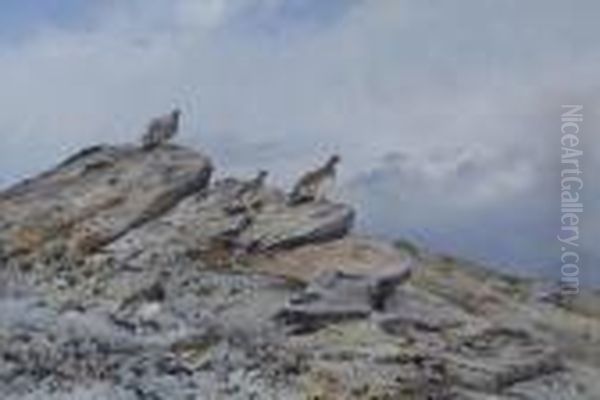 Grouse On A Rocky Outcrop Oil Painting by George Edward Lodge