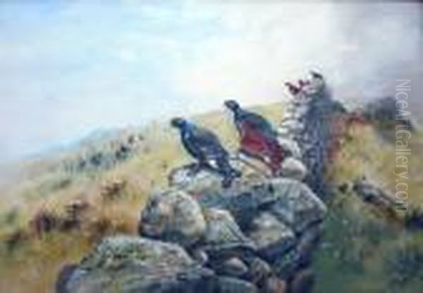 Blackcock On A Wall Oil Painting by George Edward Lodge