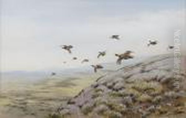 Grouse In Flight Oil Painting by George Edward Lodge
