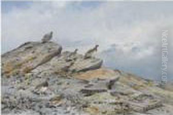 Grouse In A Highland Landscape Oil Painting by George Edward Lodge