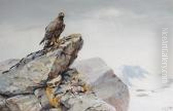 Golden Eagle On A Rocky Outcrop Oil Painting by George Edward Lodge