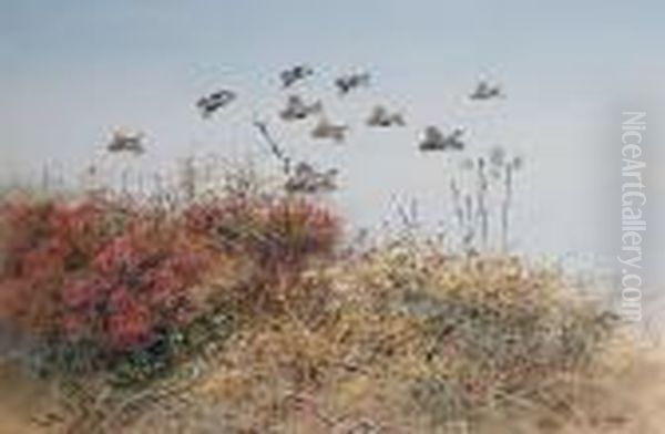 Driven Partridge Oil Painting by George Edward Lodge