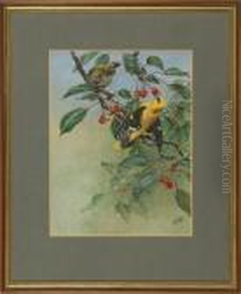 Golden Orioles Oil Painting by George Edward Lodge