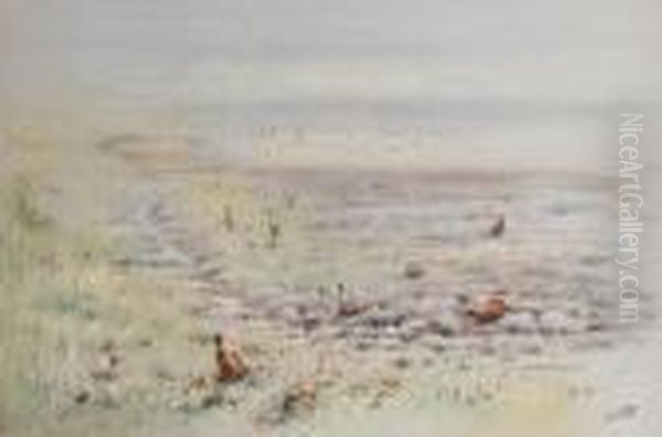 Pheasants Oil Painting by George Edward Lodge