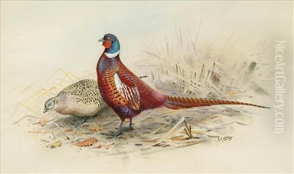 Pure Mongolian Pheasants Oil Painting by George Edward Lodge