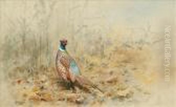 Pheasant In Autumn Oil Painting by George Edward Lodge