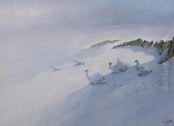 Ptarmigan In The Snow Oil Painting by George Edward Lodge