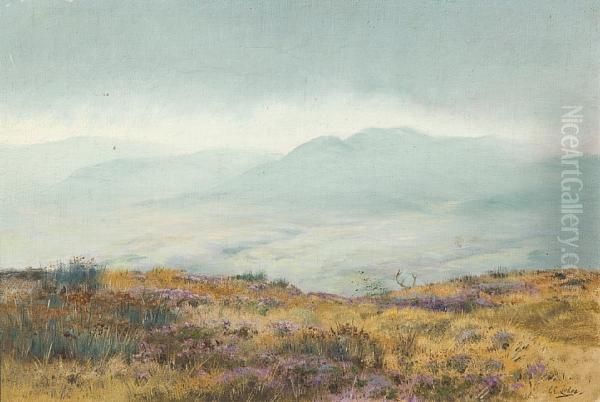 Scottish Mountain Landscape With Stag Oil Painting by George Edward Lodge
