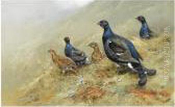 Black Game On A Hillside Oil Painting by George Edward Lodge