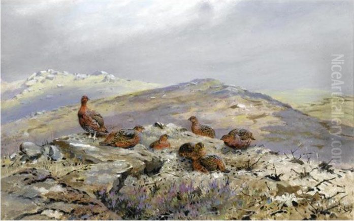 Red Grouse On A Hilltop Oil Painting by George Edward Lodge