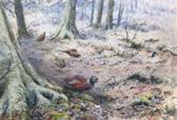 Pheasant In A Wood Oil Painting by George Edward Lodge