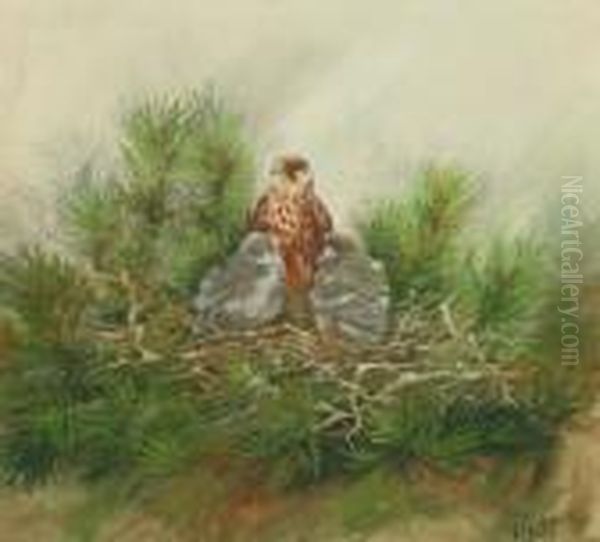Eagle And Chicks, In A 
Nest;gouache, Signed, 24x26cm. Note: George Edward Lodge Wildlifeartist,
 Naturalist, Falconer And Taxidermist. A Fisherman Who Madeannual Visits
 To Scotland And To The Salmon Rivers Of Norway,gathering Material For 
His Work  Oil Painting by George Edward Lodge