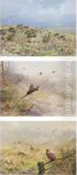 A Covey Of Partridge; Flushing Pheasant; Cock And Hen Pheasants In A Field Oil Painting by George Edward Lodge