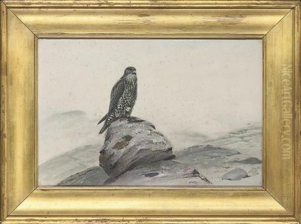 Peregrine Falcon On A Rocky Outcrop Oil Painting by George Edward Lodge