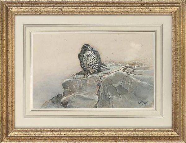 Peregrine Falcon At Rest Oil Painting by George Edward Lodge
