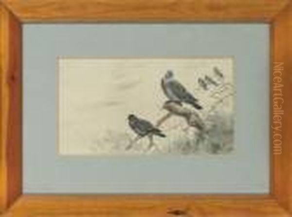 Wood-pigeons Oil Painting by George Edward Lodge