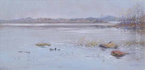 Mallards In Sweden Oil Painting by George Edward Lodge