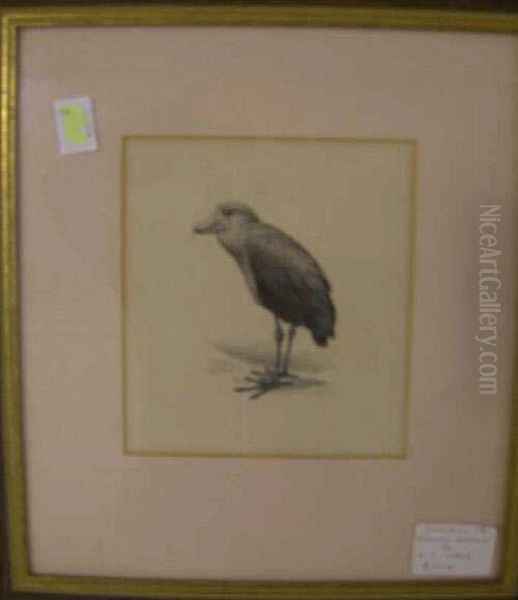 Rtudy Of A Showbill Oil Painting by George Edward Lodge