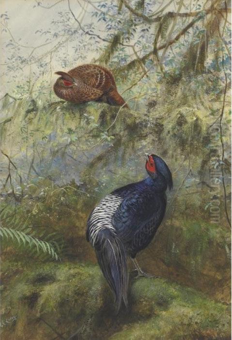 A Pair Of Pheasants Oil Painting by George Edward Lodge
