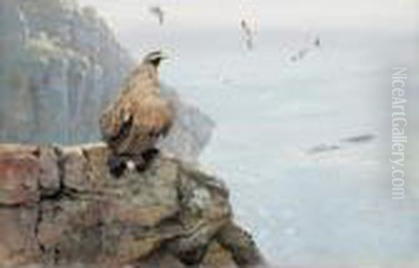 Sea Eagle And Kittiwakes Oil Painting by George Edward Lodge