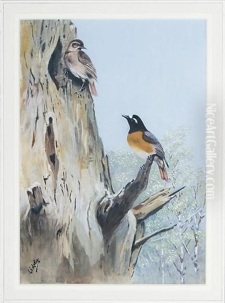 The Redstart (phoenicurus) Oil Painting by George Edward Lodge