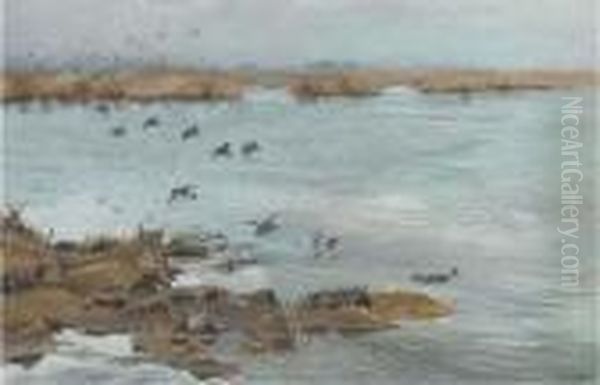 Mallard Flying In Oil Painting by George Edward Lodge