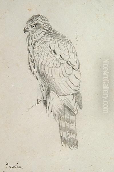 Bancis Oil Painting by George Edward Lodge