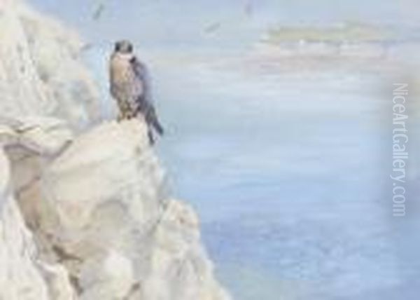 Peregrine On The South Coast 
 From The Collection Of The Late The Hon. Sir Bobby 
 Wills Removed From Farmlington Lodge 
Gloucestershire Oil Painting by George Edward Lodge