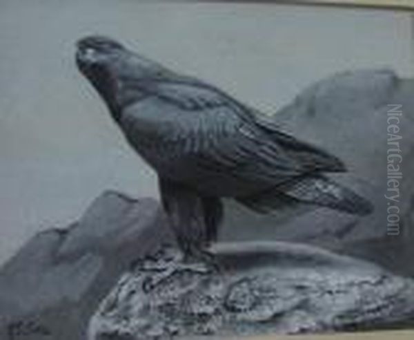 A Study Of An Eagle Oil Painting by George Edward Lodge
