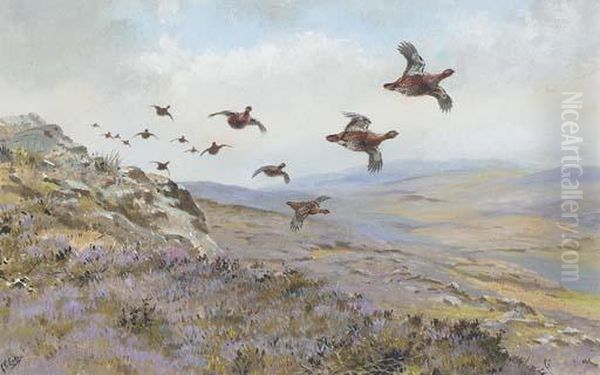 Red Grouse In Flight Oil Painting by George Edward Lodge