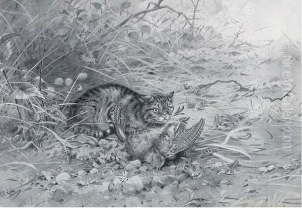 A Wild Cat With It's Kill Oil Painting by George Edward Lodge