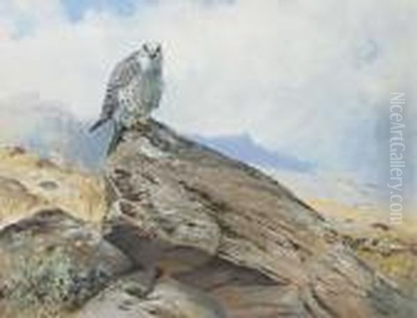 Gyr Falcon On A Rocky Outcrop Oil Painting by George Edward Lodge
