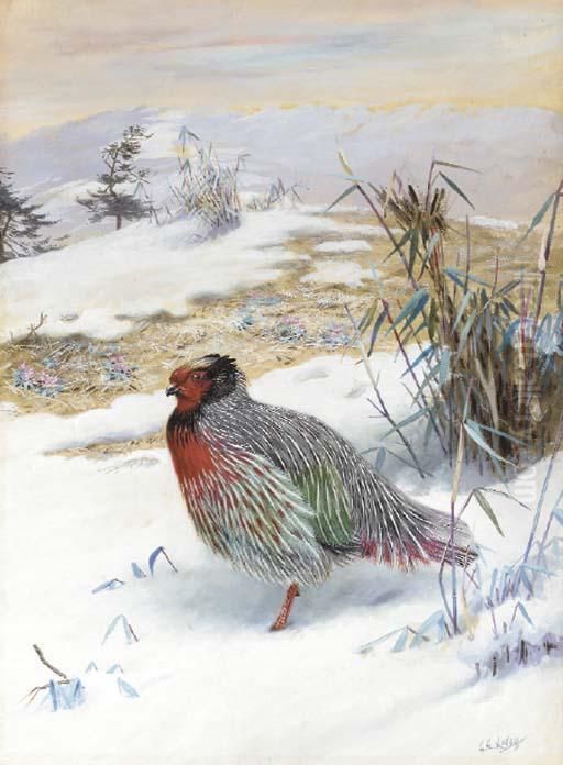 Blood Pheasant In The Snow Oil Painting by George Edward Lodge