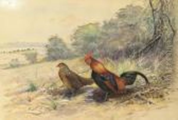 Cock And Hen In A Landscape Oil Painting by George Edward Lodge