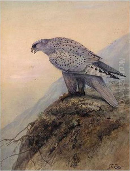 Greenland Falcon Oil Painting by George Edward Lodge