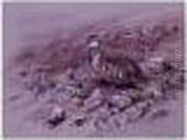 A Quail Oil Painting by George Edward Lodge