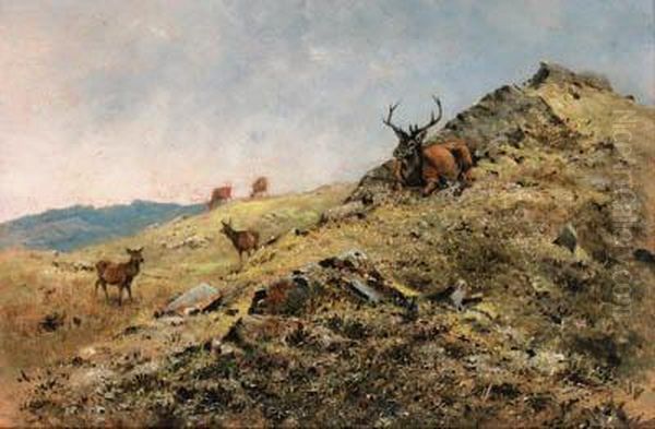 Afternoon Sunshine, Killilan Oil Painting by George Edward Lodge