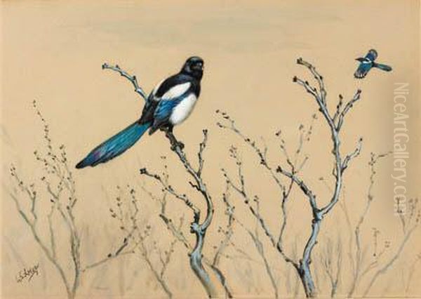 Azure-winged Magpie Oil Painting by George Edward Lodge