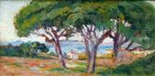 Saint-tropez, Pins Parasols, 1903
 Huile Sur Papier Maroufle Sur Toile Oil Painting by Maximilien Luce
