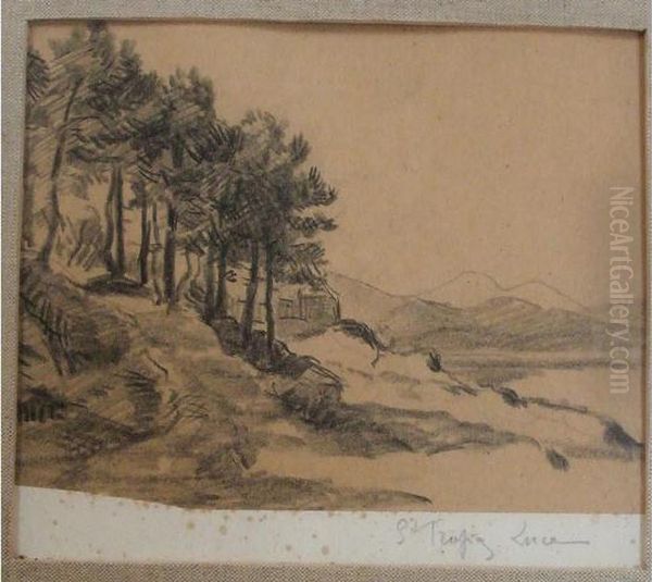 Les Environs De Saint Tropez Oil Painting by Maximilien Luce