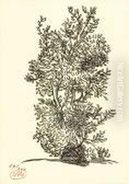 Suite Des Bois Originaux Du 
Sculpteur Aristide Maillol, Pourilluster Les Georgiques De Virgile Oil Painting by Aristide Maillol