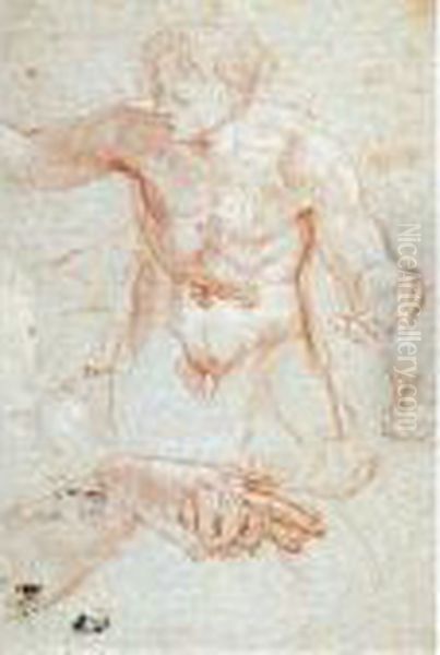 Studio Di Figura Maschile Inginocchiata E Studi Di Mani
 (r
Ecto
); Tre Studi Di Teste Femminili (v
Erso
) Oil Painting by Carlo Maratta or Maratti