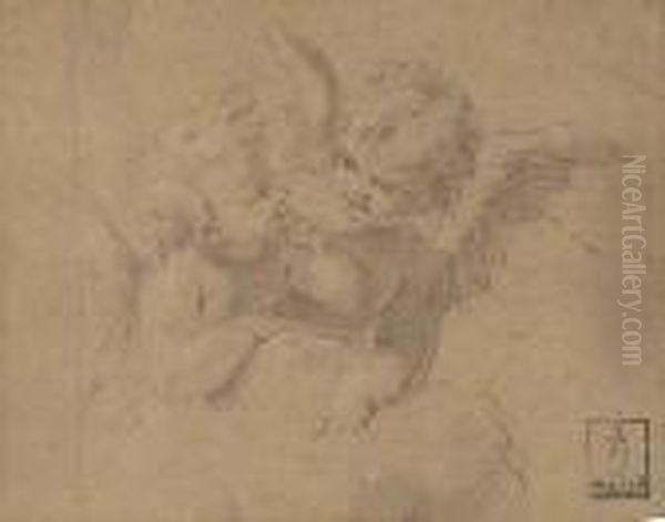Study Of Two Cherubs Oil Painting by Carlo Maratta or Maratti