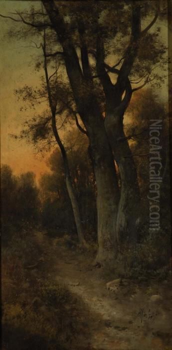 Bosco Con Sentiero Oil Painting by Henry Marko