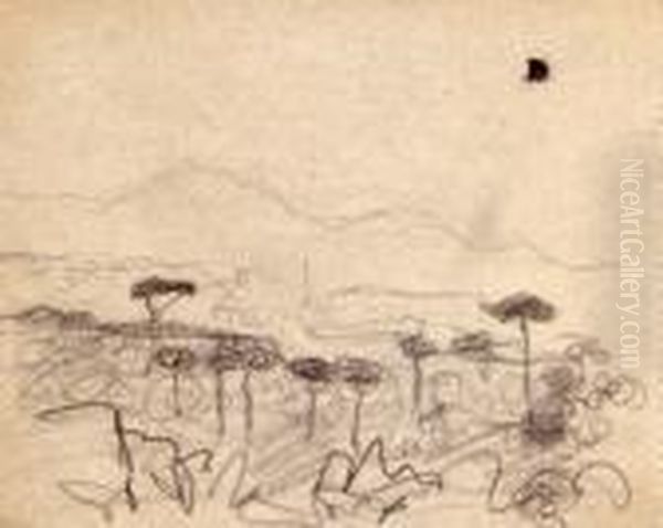 Pins Parasols Dans Le Midi Oil Painting by Albert Marquet