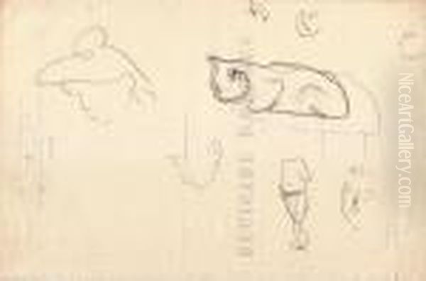 Etude De Chat Oil Painting by Albert Marquet