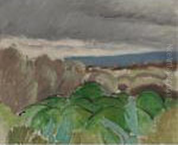Cagnes, Paysage Au Temps Orageux Oil Painting by Henri Matisse
